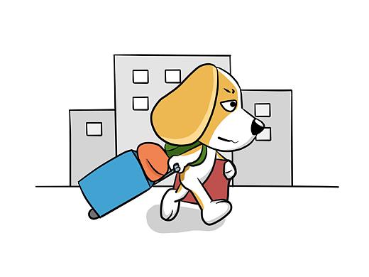 一只大学狗的生活