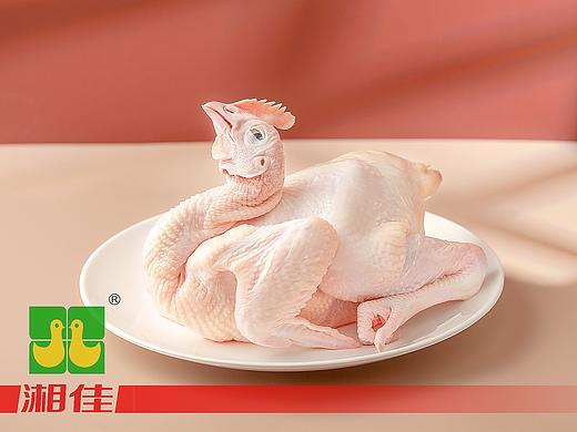 湘佳～生鲜家禽～长沙美食摄影～EMOStudio～壹末视界
