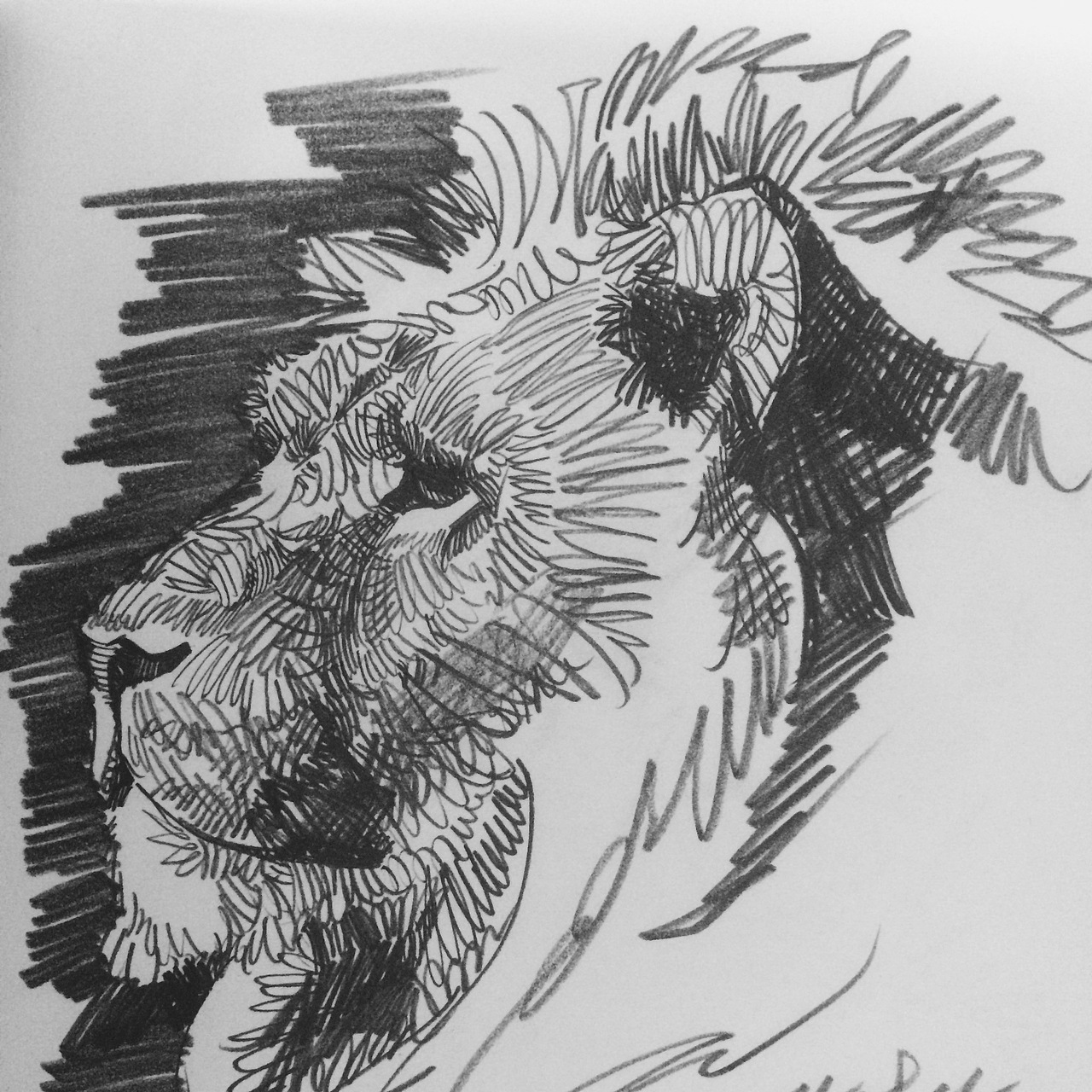 2013~2015的随手画-1