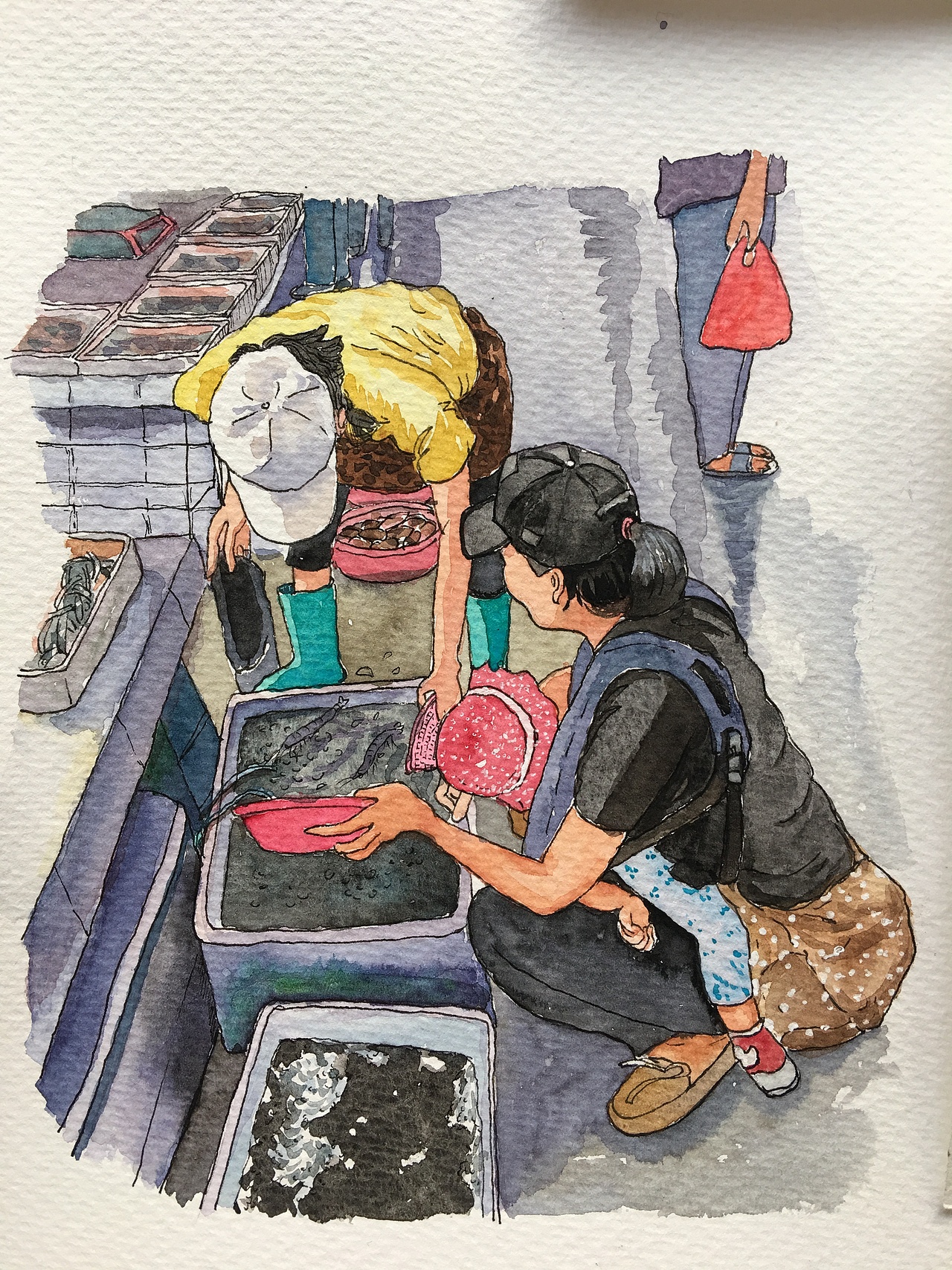 我的菜市场系列|插画|创作习作|z05215017_原创作品-站酷zcool