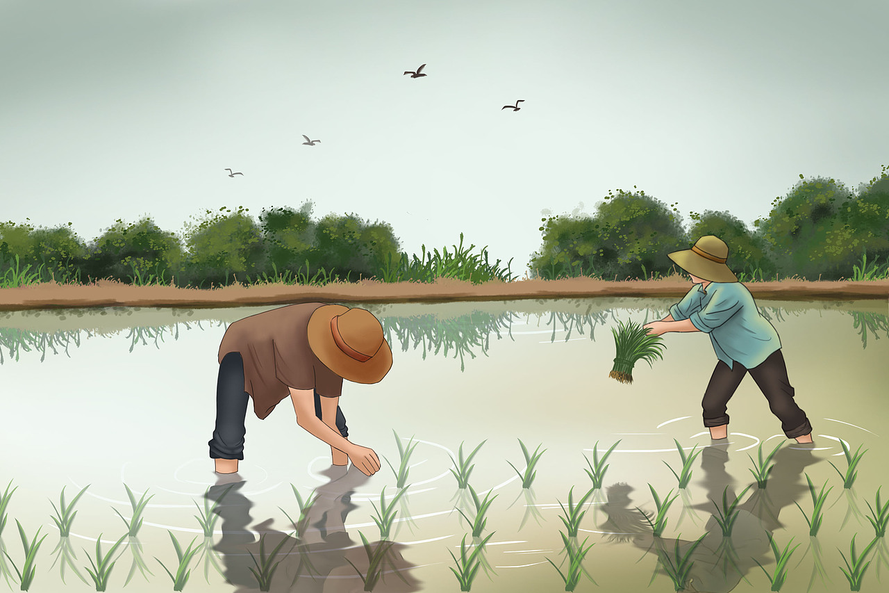 芒种（图ZMjA3MDc4NDUy） - 创作习作 - 站酷设计师Z72260638原创素材 - 站酷ZCOOL