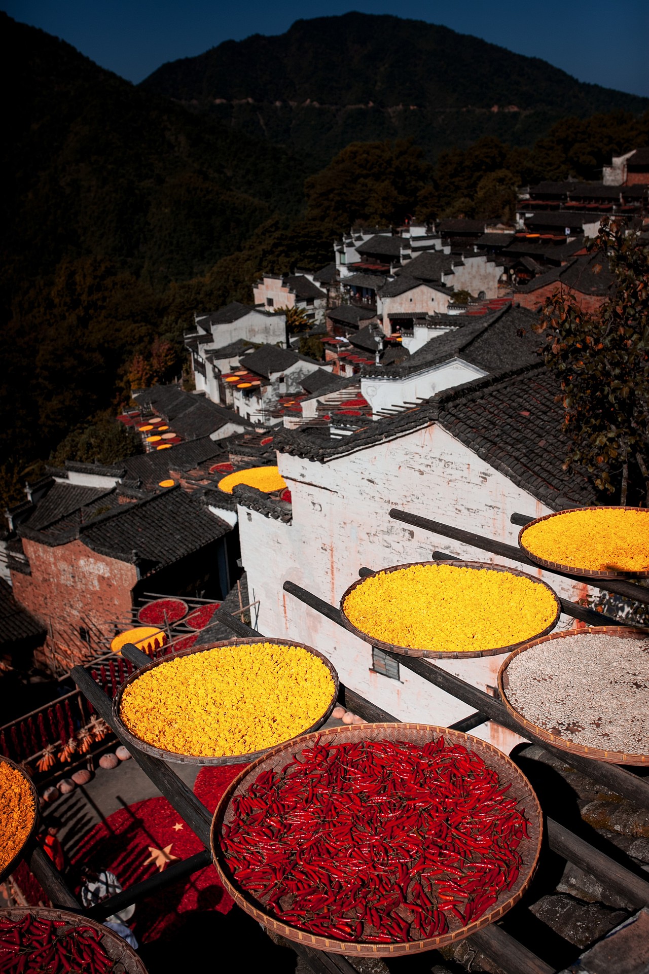 一匹黑马 丨 篁村晒秋