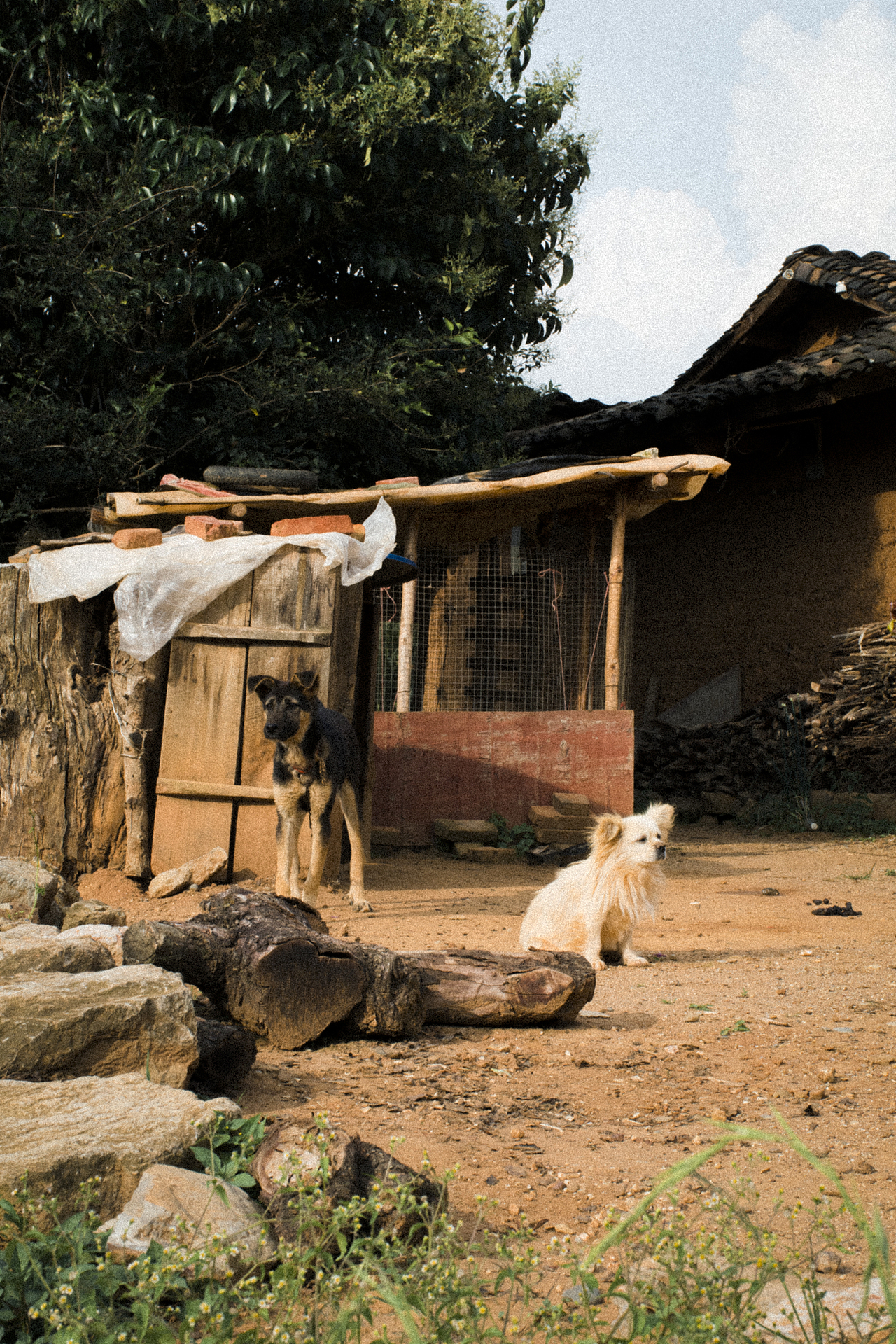 时光是什么样的?（图ZMjE5OTUxNjYw） - 风光摄影 - 站酷设计师aiml1998原创素材 - 站酷ZCOOL