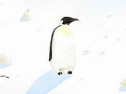 暖冬里的企鹅家族