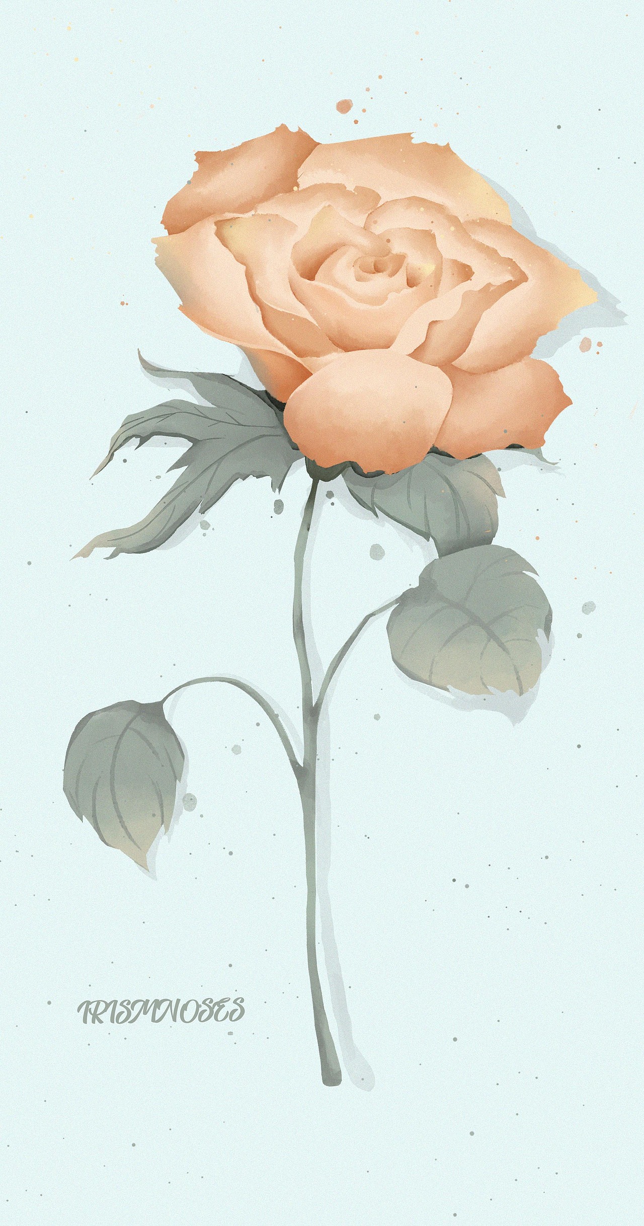 凉下的月季花（图ZMjc5NDYzMjA0） - 艺术插画 - 站酷设计师IRISMOSESYY原创素材 - 站酷ZCOOL
