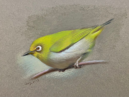 油画棒鸟