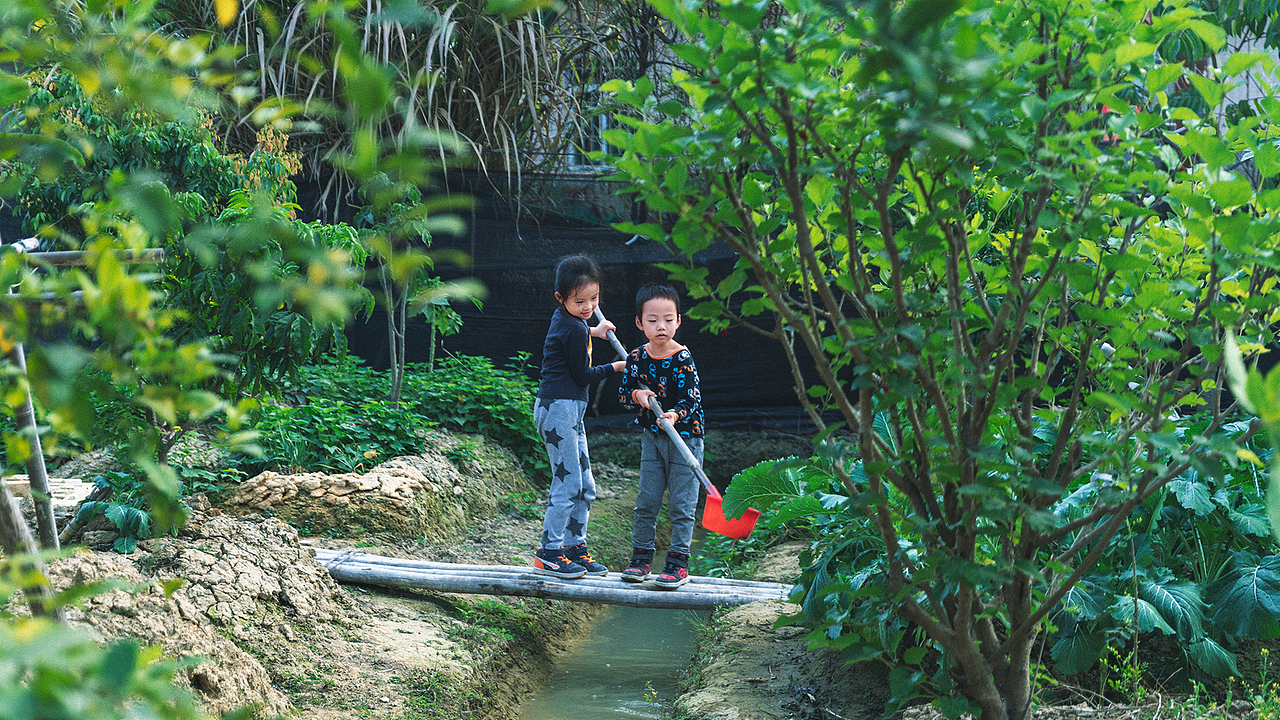 冬日里的暖阳与绿意