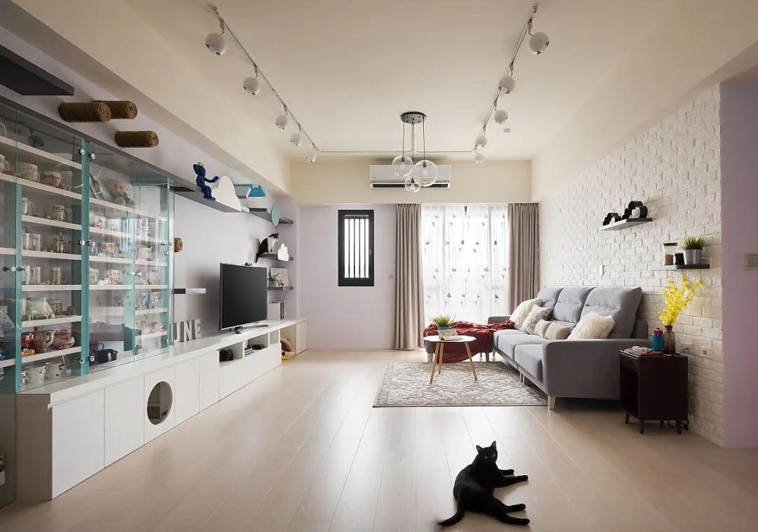 家有喵咪、汪星人,一定不要错过的6大设计 