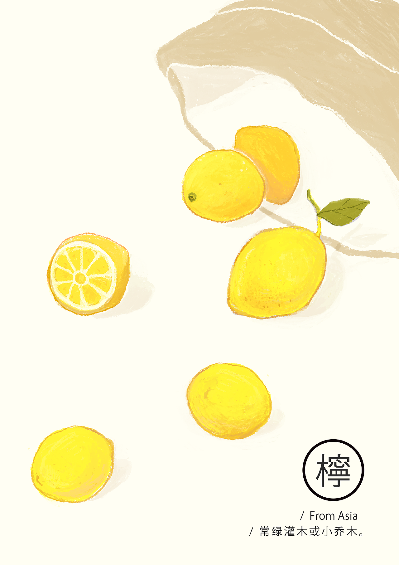 水果系列（图ZODUzNDM3MDA=） - 新锐潮流插画 - 站酷设计师So_shadow原创素材 - 站酷ZCOOL