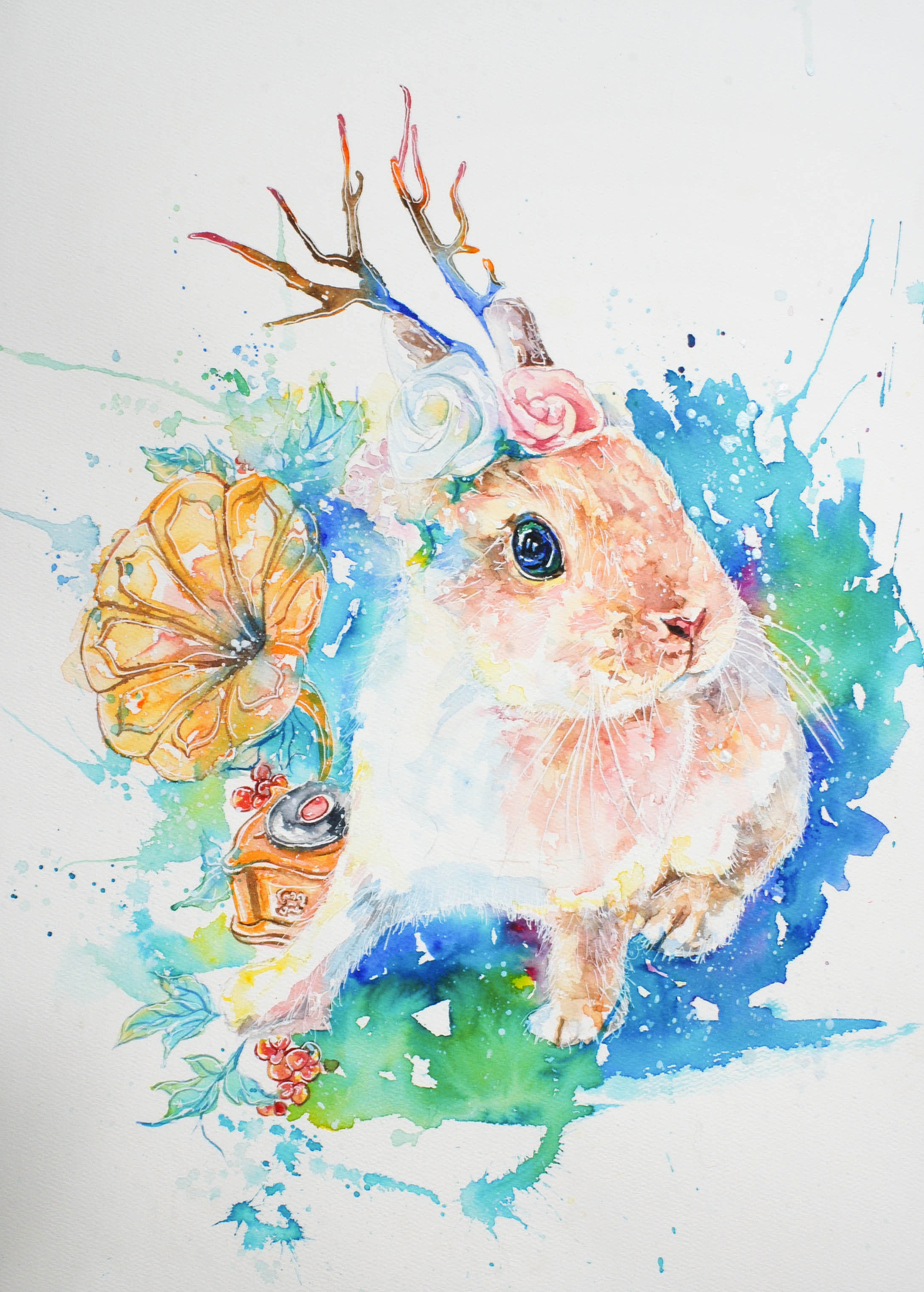 超白大叔水彩一枚萌萌的荷兰侏儒兔