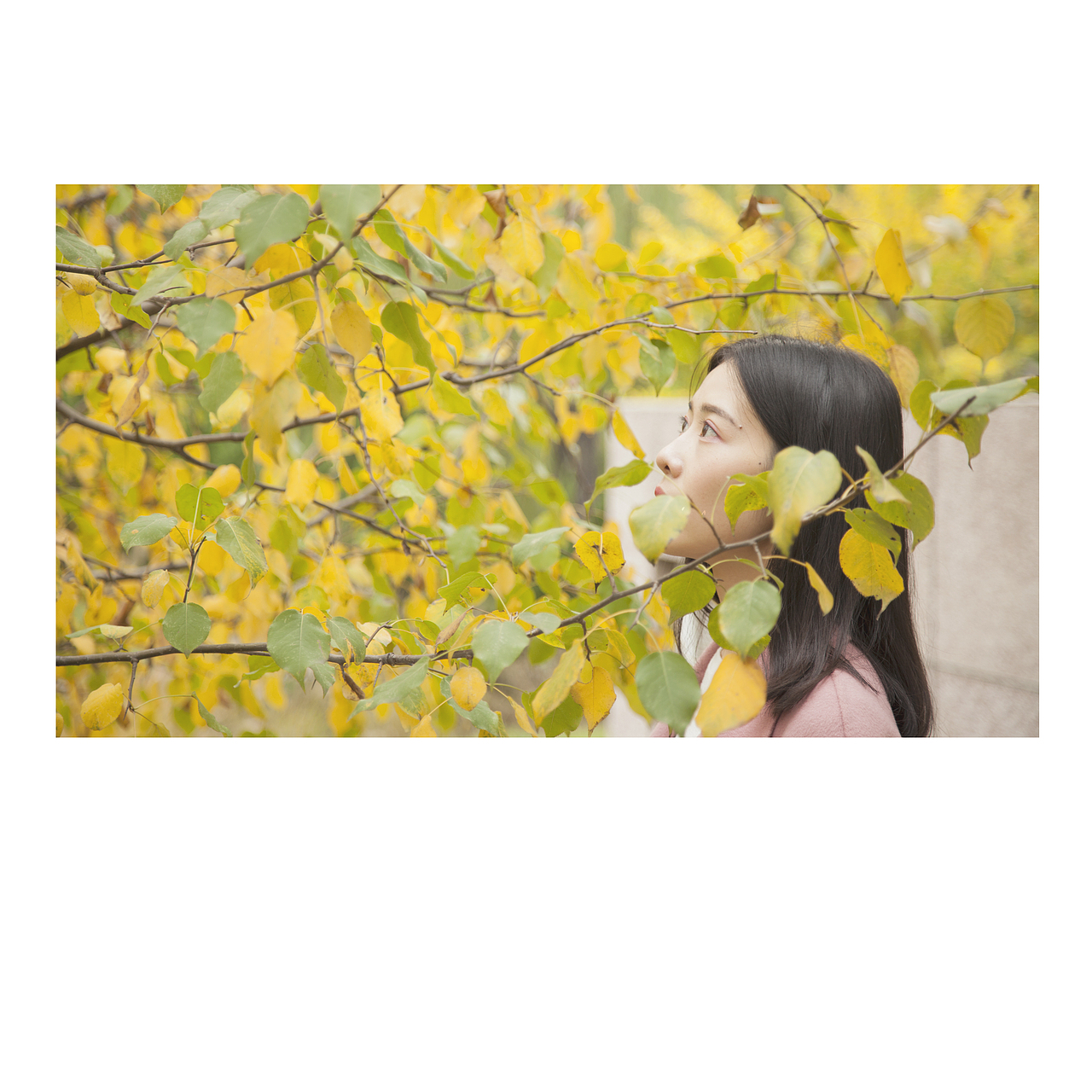 你走过的秋天（图ZNjE4MzA5MDA=） - 人像摄影 - 站酷设计师苏破原创素材 - 站酷ZCOOL