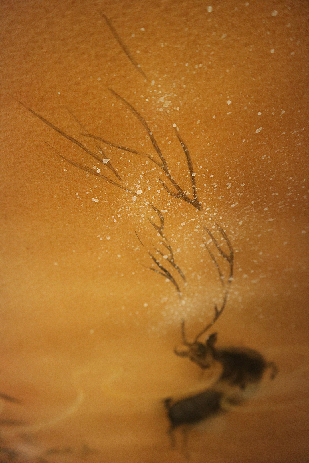 玄鹿虽然是魔族，但魔族也有有爱的一面啊。看，准备在河里喝水的玄鹿，看到游过来的一只小鱼，怕惊扰到小鱼悠哉悠哉的散步，悄悄的抬起前蹄看着小鱼儿从自己脚边慢慢游过。