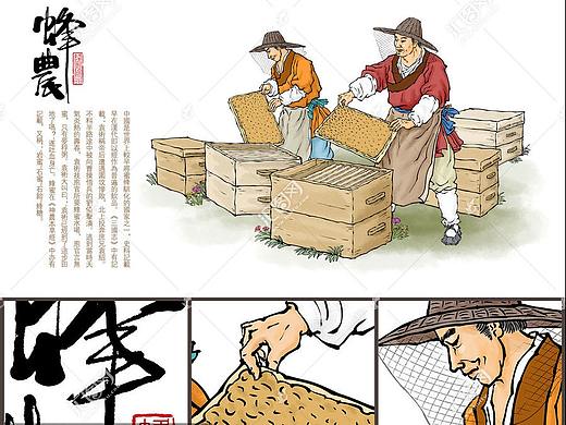 蜂农采蜂蜜插画