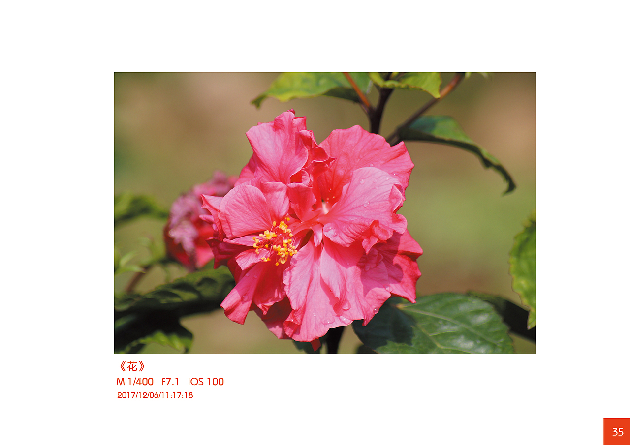 摄影课作业集（图ZMzE0Njg4NTI4） - 风光摄影 - 站酷设计师Maxyang1900原创素材 - 站酷ZCOOL
