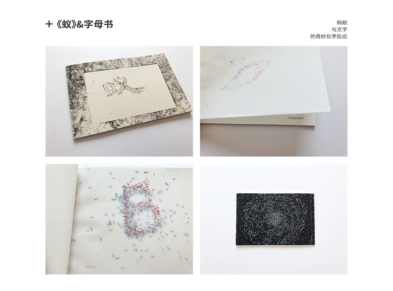 徐嘉偌《999保真 作品集》