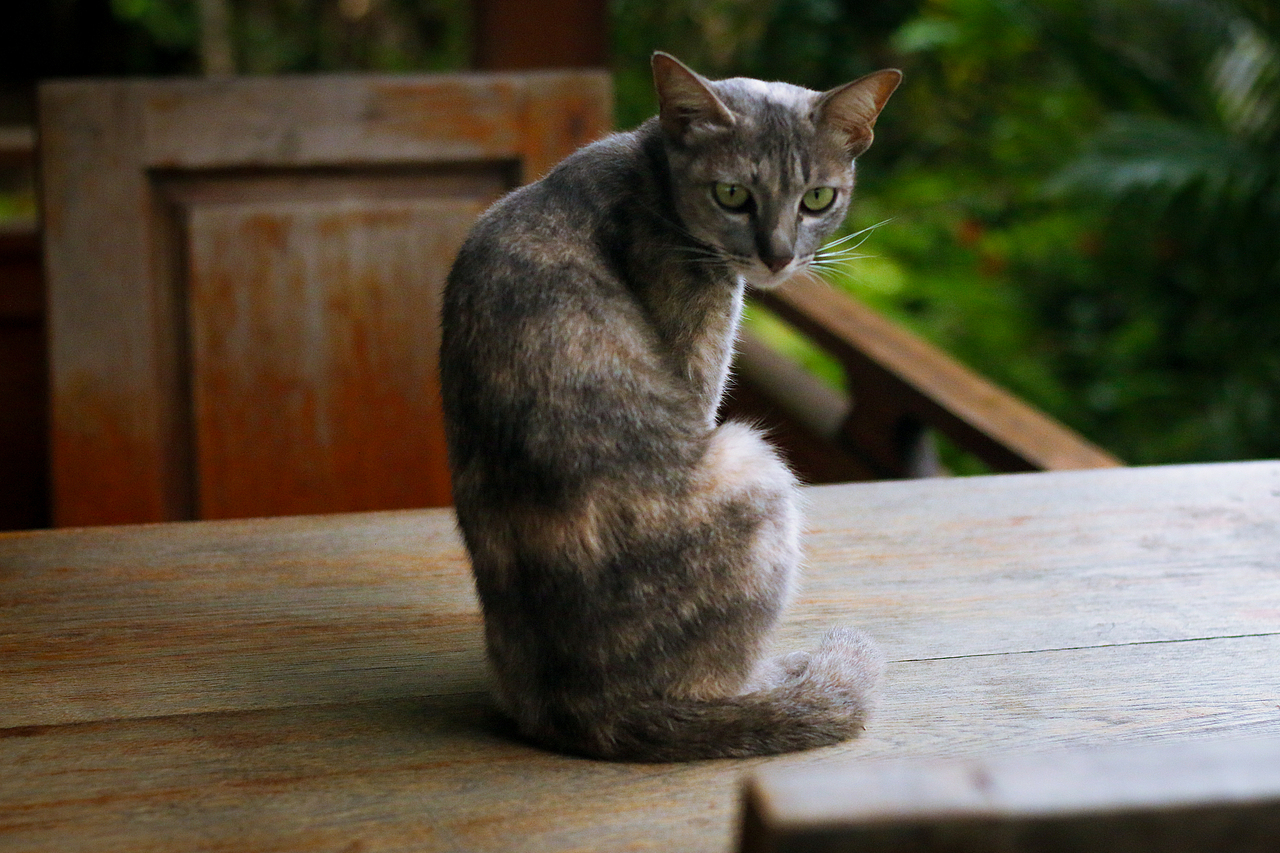 泰国小姐姐(调色系)