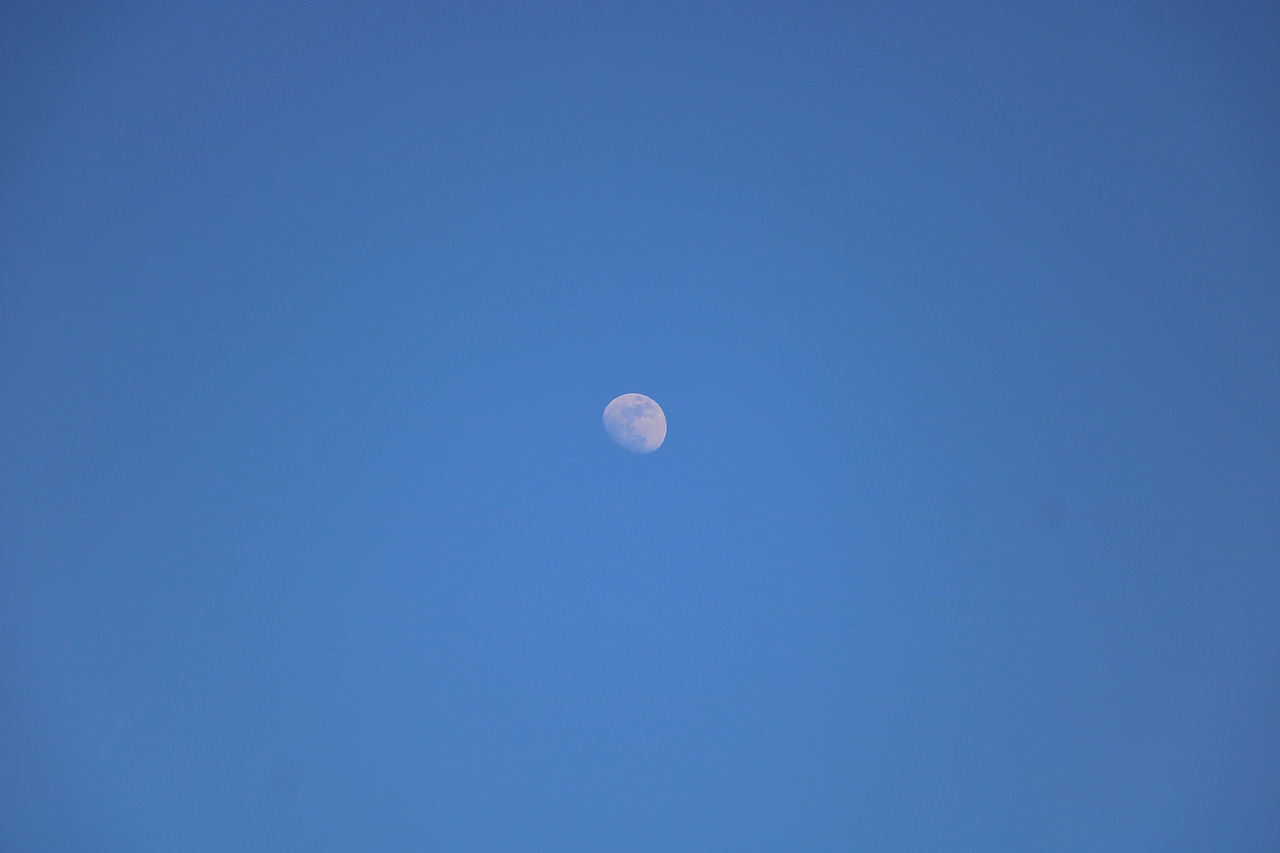 仰望天空（图ZMjY0MDE0NzE2） - 风光摄影 - 站酷设计师多缤设计原创素材 - 站酷ZCOOL