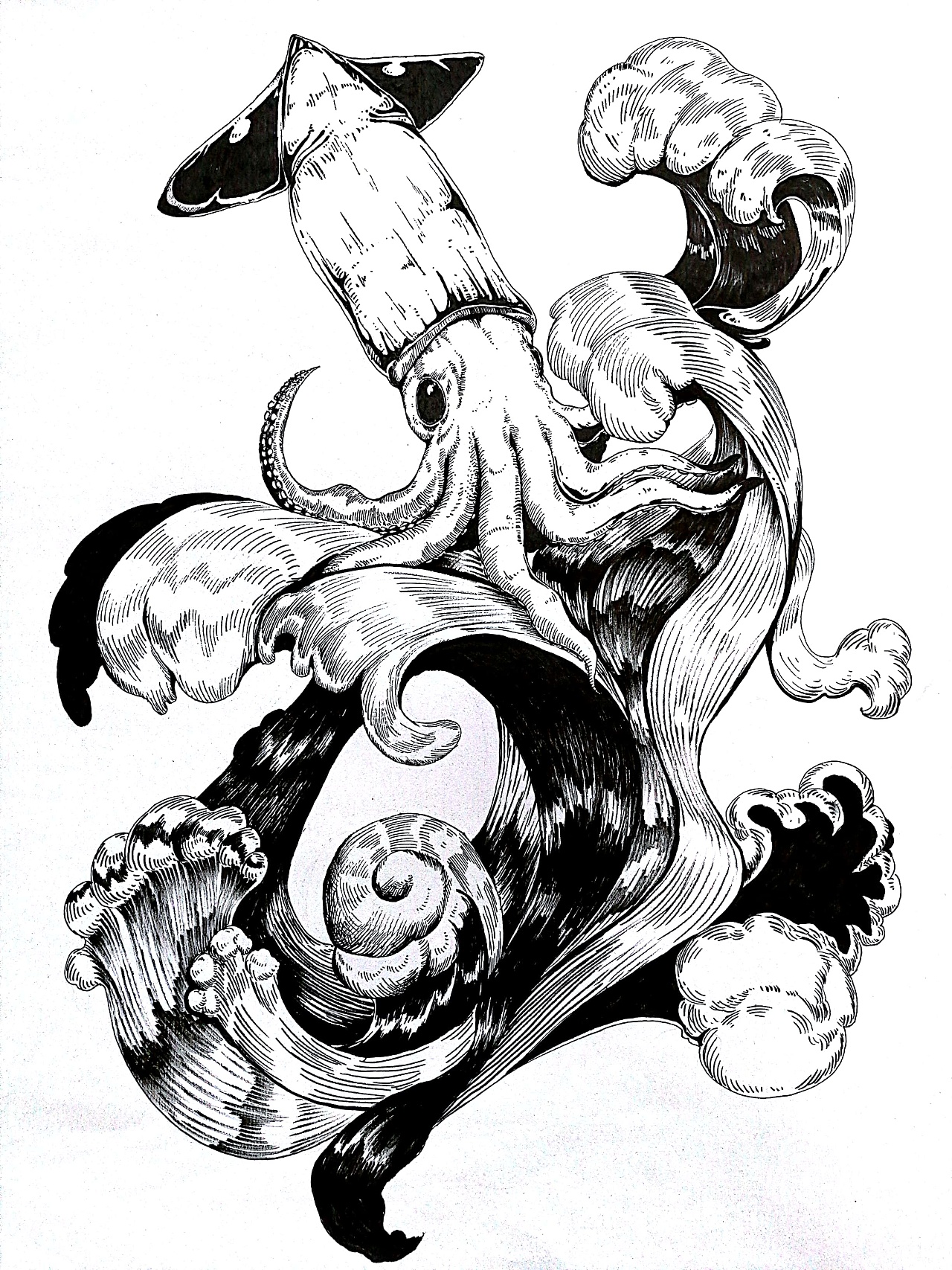 【黑白插画练习】鱿鱼