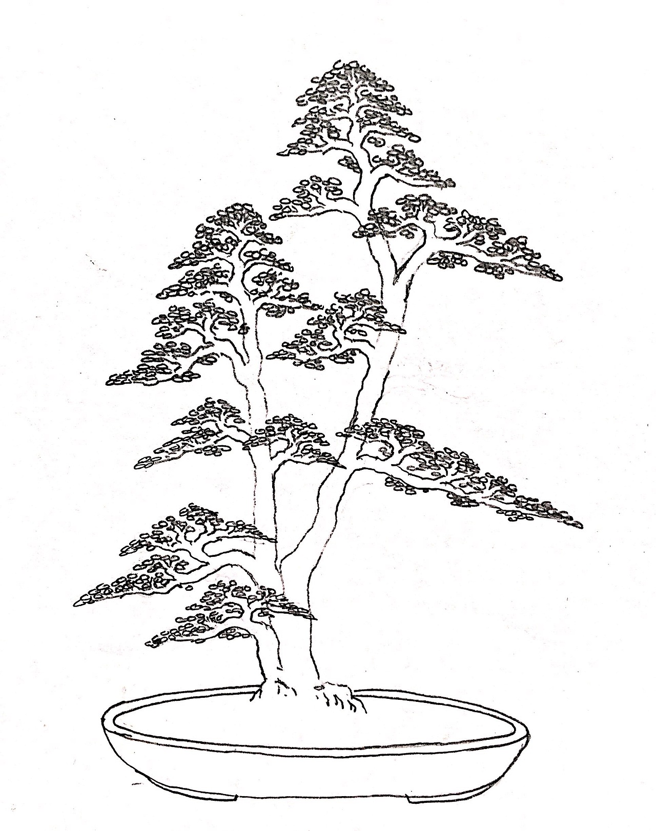 吕绍武手绘盆景设计效果图（图ZMTY4MDkwNzY4） - 绘画 - 站酷设计师慧武原创素材 - 站酷ZCOOL