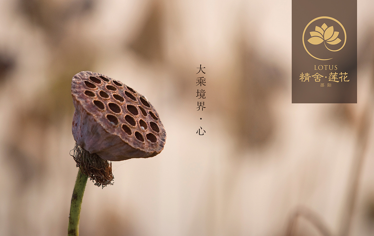 精舍莲花（图ZNjM5MjY3OTI=） - 品牌 - 站酷设计师chanson成先森原创素材 - 站酷ZCOOL
