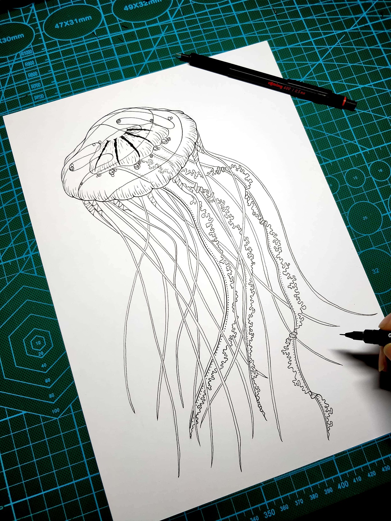 一组黑白水母插画