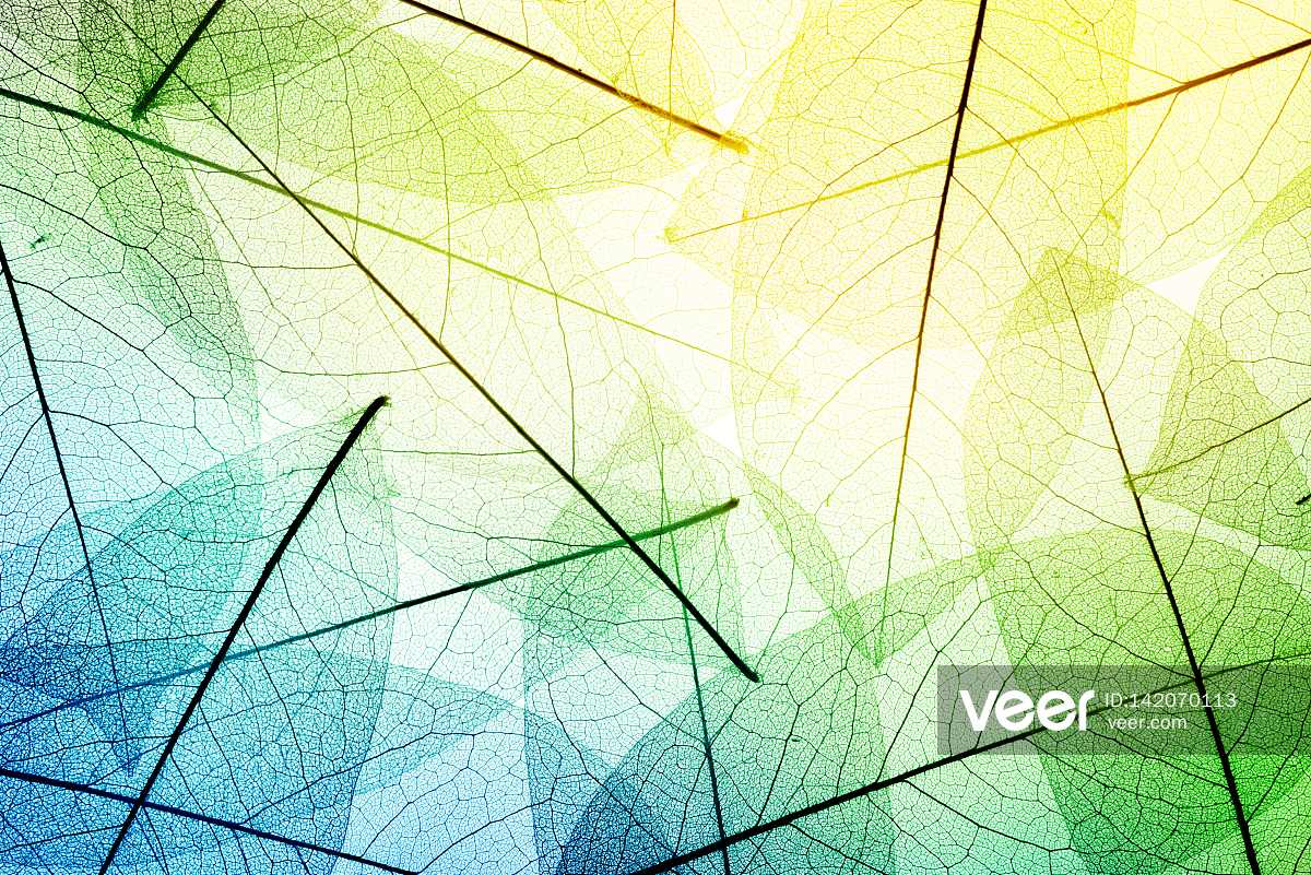 糖猫小雨的个人主页（封面预览） - 主页封面设置 - 站酷设计师糖猫小雨原创素材 - 站酷ZCOOL