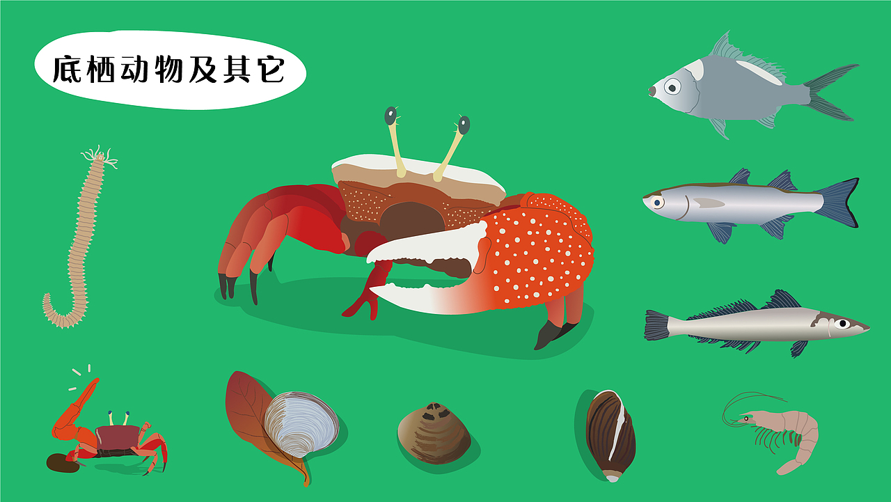 深圳湾公园湿地主题解说牌（图ZMjk1MDM4Mjg4） - 图案 - 站酷设计师tofu豆腐原创素材 - 站酷ZCOOL