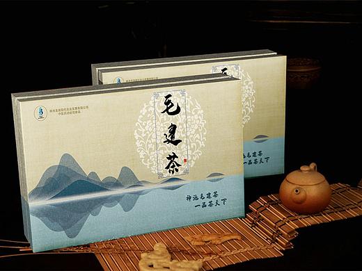 毛建茶