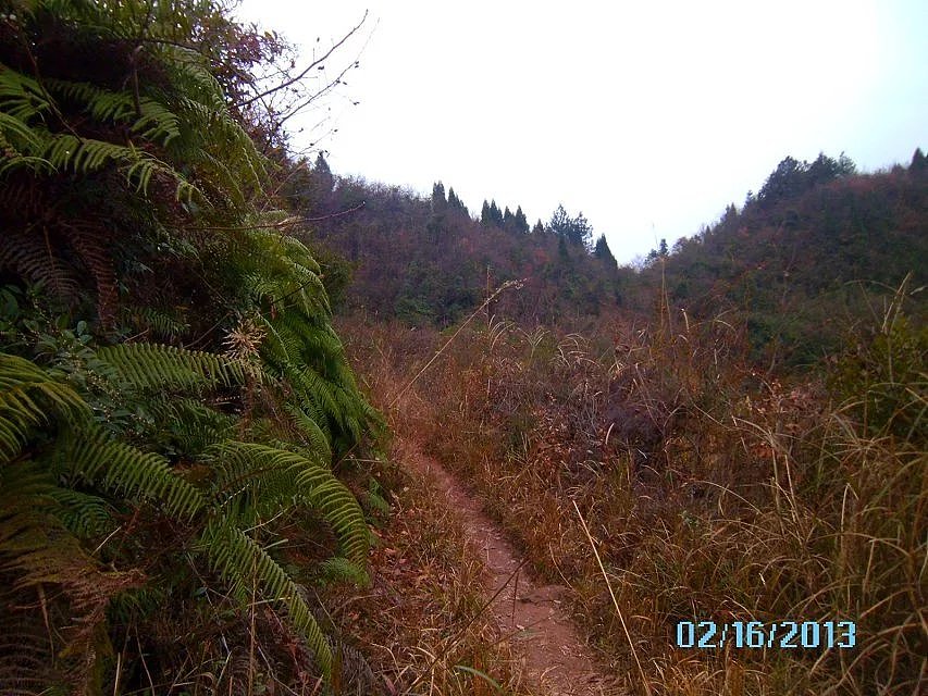 宣汉县花池乡6组再走到对面山坳处就是隘口乡了