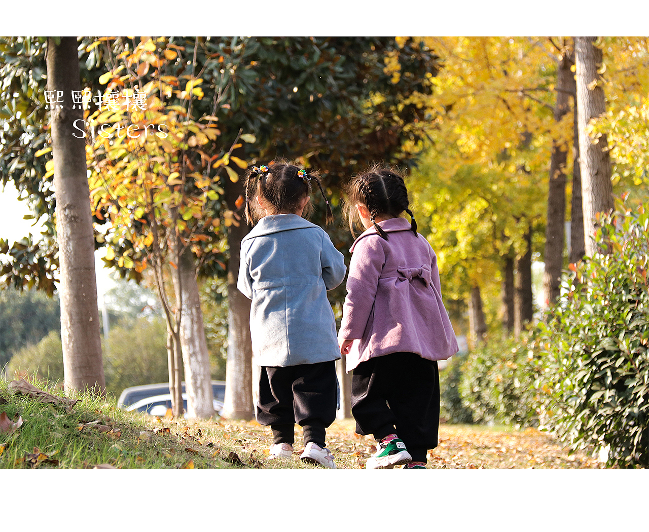 我的熙熙攘攘拍摄——秋天落叶（图ZMTgzMzcxOTky） - 人像摄影 - 站酷设计师我的熙熙攘攘原创素材 - 站酷ZCOOL