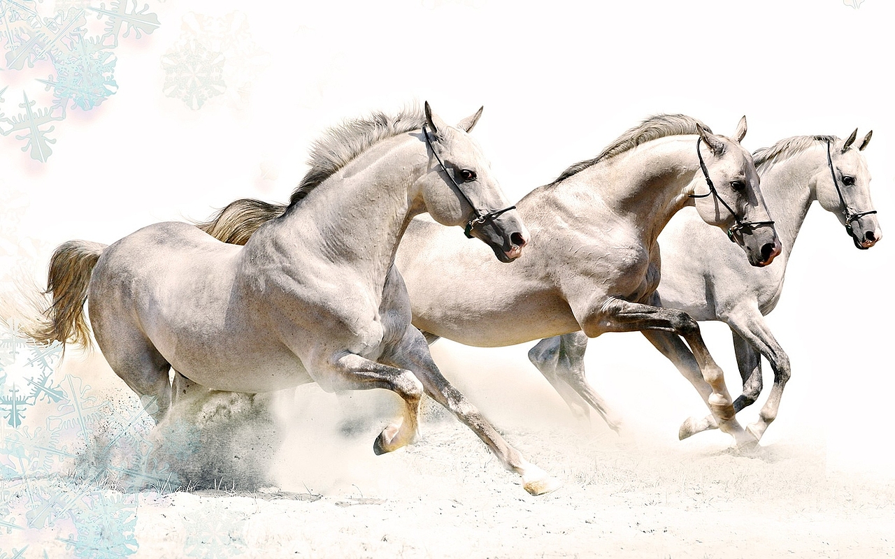 摄影（图ZODgyMjA0NTI=） - 风光摄影 - 站酷设计师Lee_胡司令原创素材 - 站酷ZCOOL