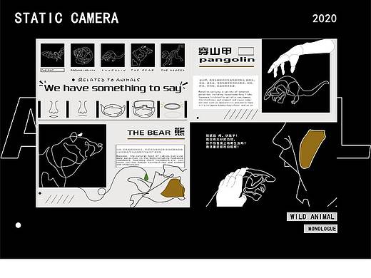 《野生動(dòng)物檔案》（個(gè)人主頁(yè)-ZNTAzMzUzNjQ=） - 短片 - 站酷設(shè)計(jì)師喜羊羊plus原創(chuàng)素材 - 站酷ZCOOL