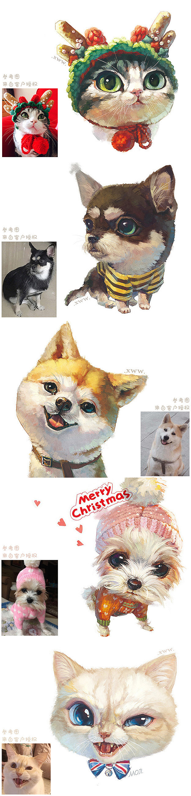 【萌宠定制版】合集(二)