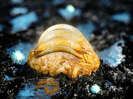 小練手（個(gè)人主頁-ZNTU2ODIwMjg=） - 其他三維 - 站酷設(shè)計(jì)師這一點(diǎn)都不酷原創(chuàng)素材 - 站酷ZCOOL