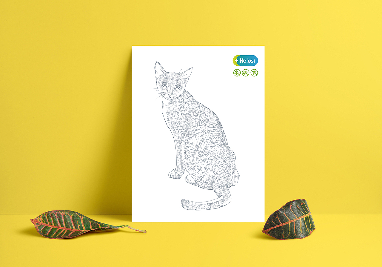 科莱施宠物药品插画(已商用)