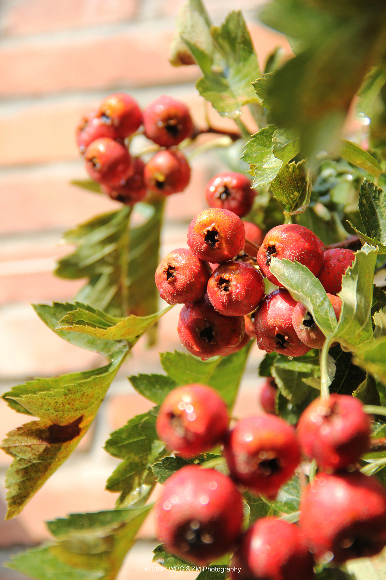 《 一雨秋凉 》