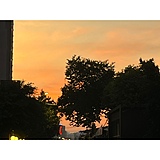 胖虎住手的头像
