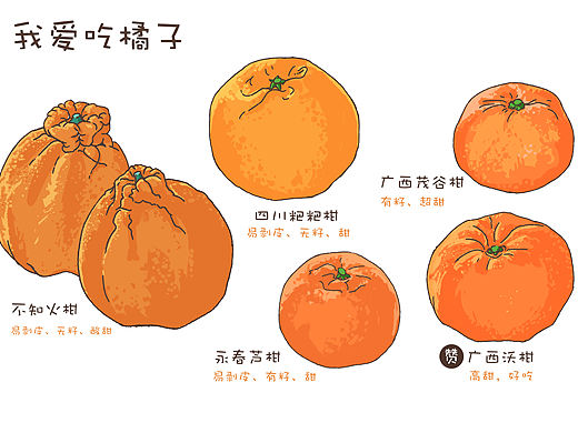 爱吃水果