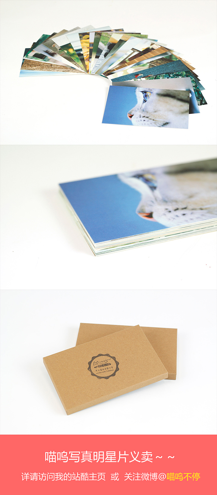 我和我的喵呜们（二）（图ZMTk0NDAxODA=） - 宠物摄影 - 站酷设计师喵呜不停原创素材 - 站酷ZCOOL