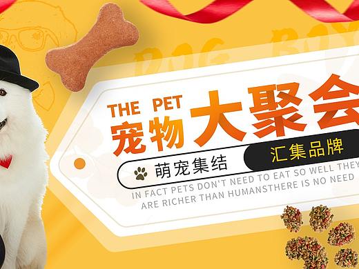 宠物大聚会（个人主页-ZNTA3MjIxMTY=） - 海报 - 站酷设计师燕尾服小丑原创素材 - 站酷ZCOOL