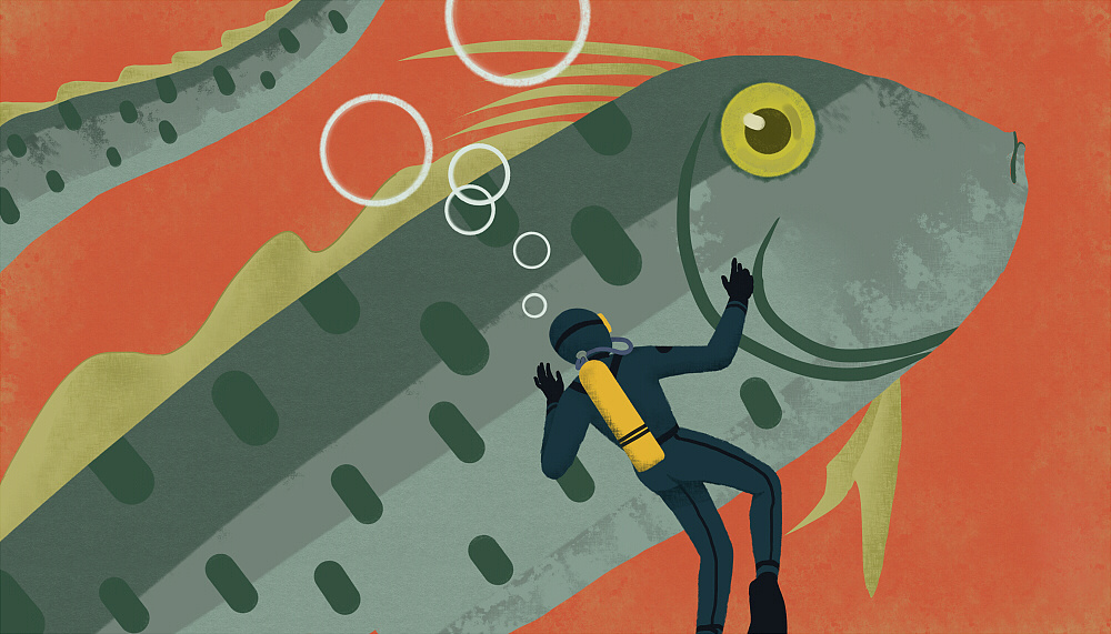 海怪|插画|商业插画|画画的纸飞机 - 原创作品 - 站酷 (zcool)