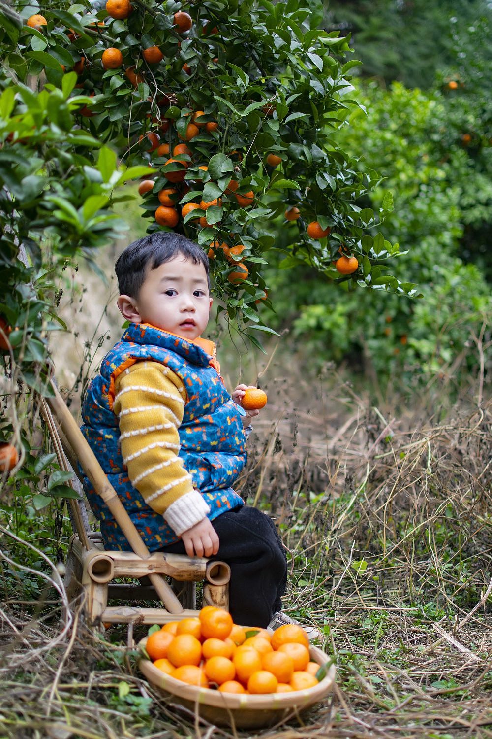 砂糖橘🍊🍊🍊🍊
