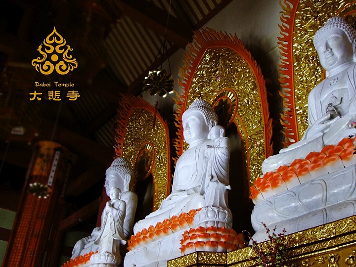 大悲寺 标志设计 VI设计 提案PPT（图ZMTIyMDAxNDQ=） - Logo - 站酷设计师南知南知原创素材 - 站酷ZCOOL
