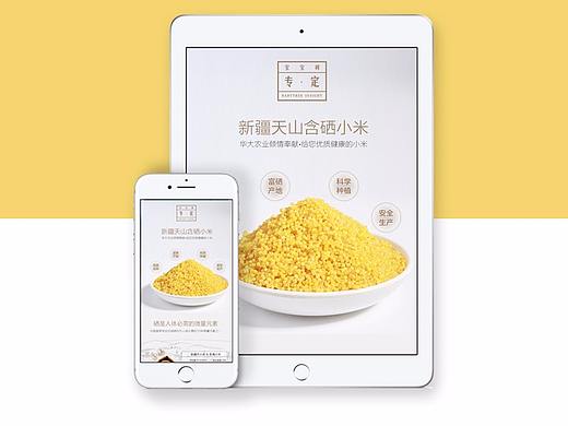 小米-详情页