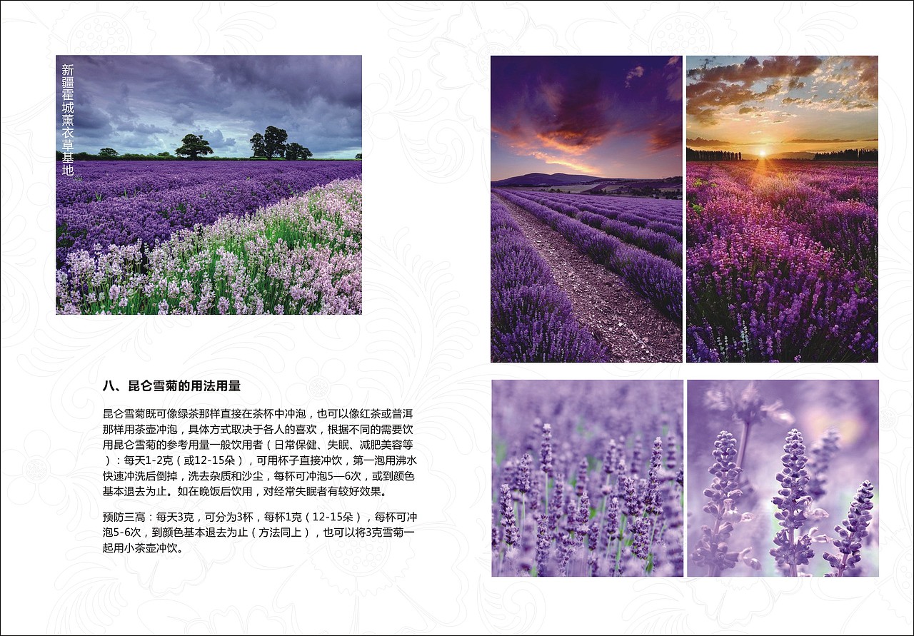 淘宝宣传小手册（图ZMjA0MjY3ODg=） - 电商 - 站酷设计师七玥pancy原创素材 - 站酷ZCOOL
