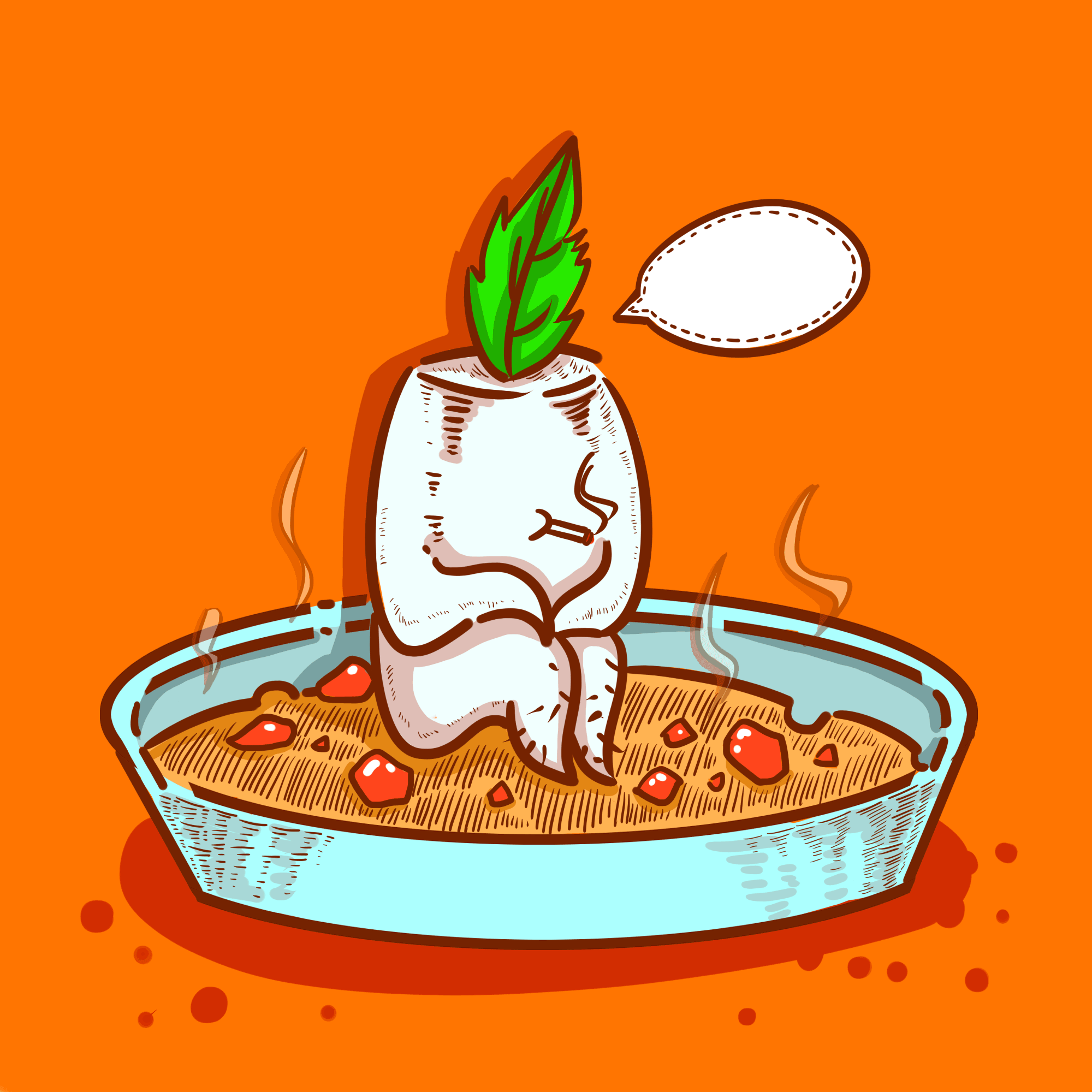 风骚蔬菜系列之一《萝卜炖牛肉》