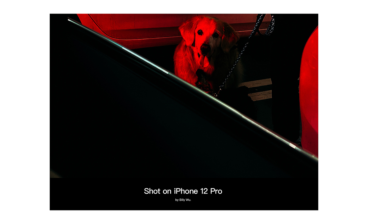 Shot on iPhone 12 Pro-20210419