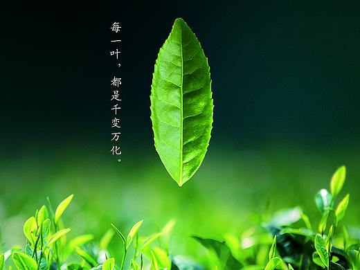 黑茶系列（个人主页-ZMjk5NTUxNDQ=） - 其他平面 - 站酷设计师梨子君原创素材 - 站酷ZCOOL