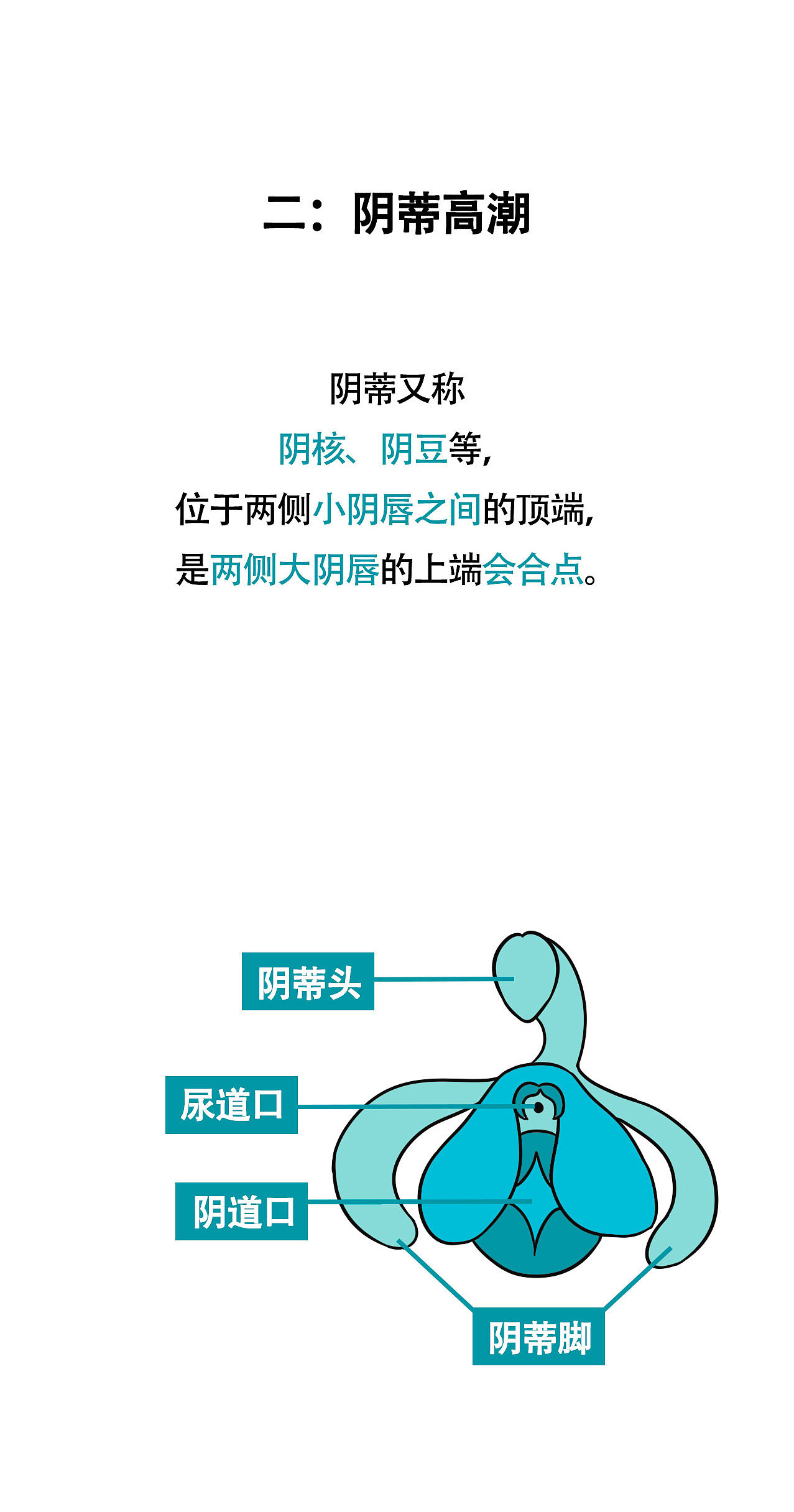 一篇正经的性科普（图ZMTkzMDM5MTM2） - 中/长篇漫画 - 站酷设计师北野桃原创素材 - 站酷ZCOOL