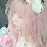 linkense7en的头像